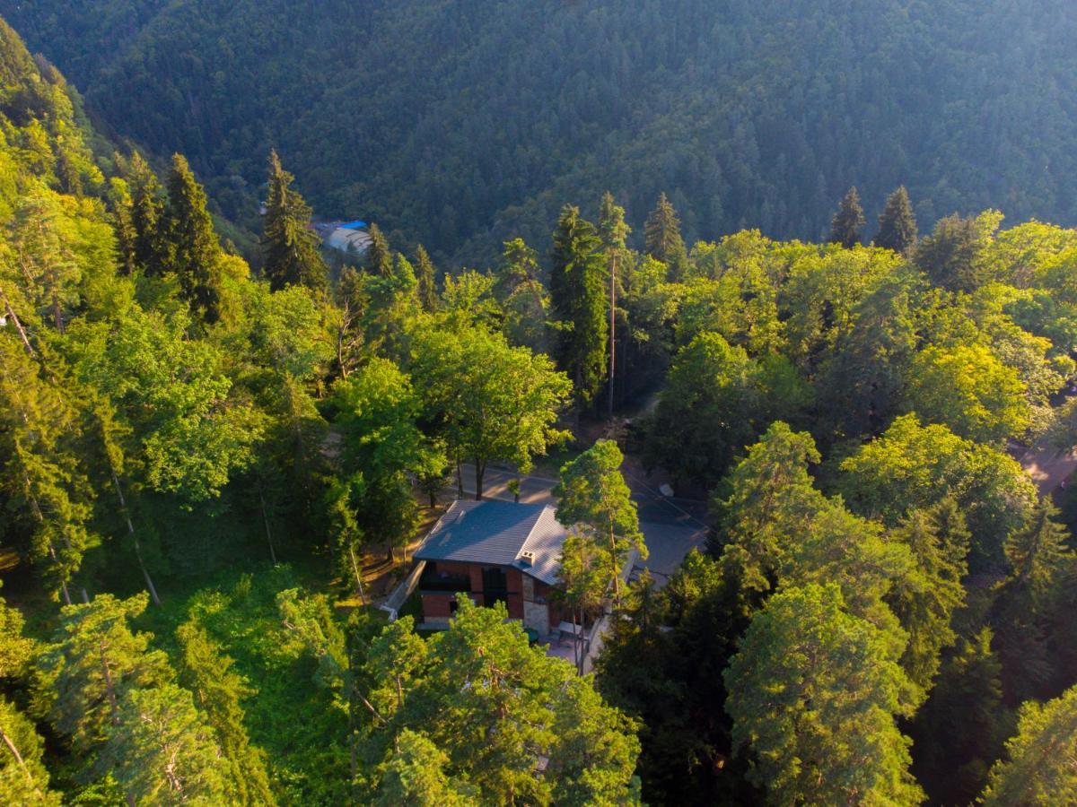 Hotel Evergreen Боржомі Екстер'єр фото